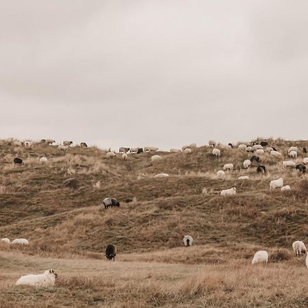 Zoomers Aan Het Bos Hotel Castricum Eksteriør billede