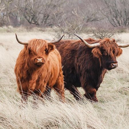 Zoomers Aan Het Bos Hotel Castricum Eksteriør billede