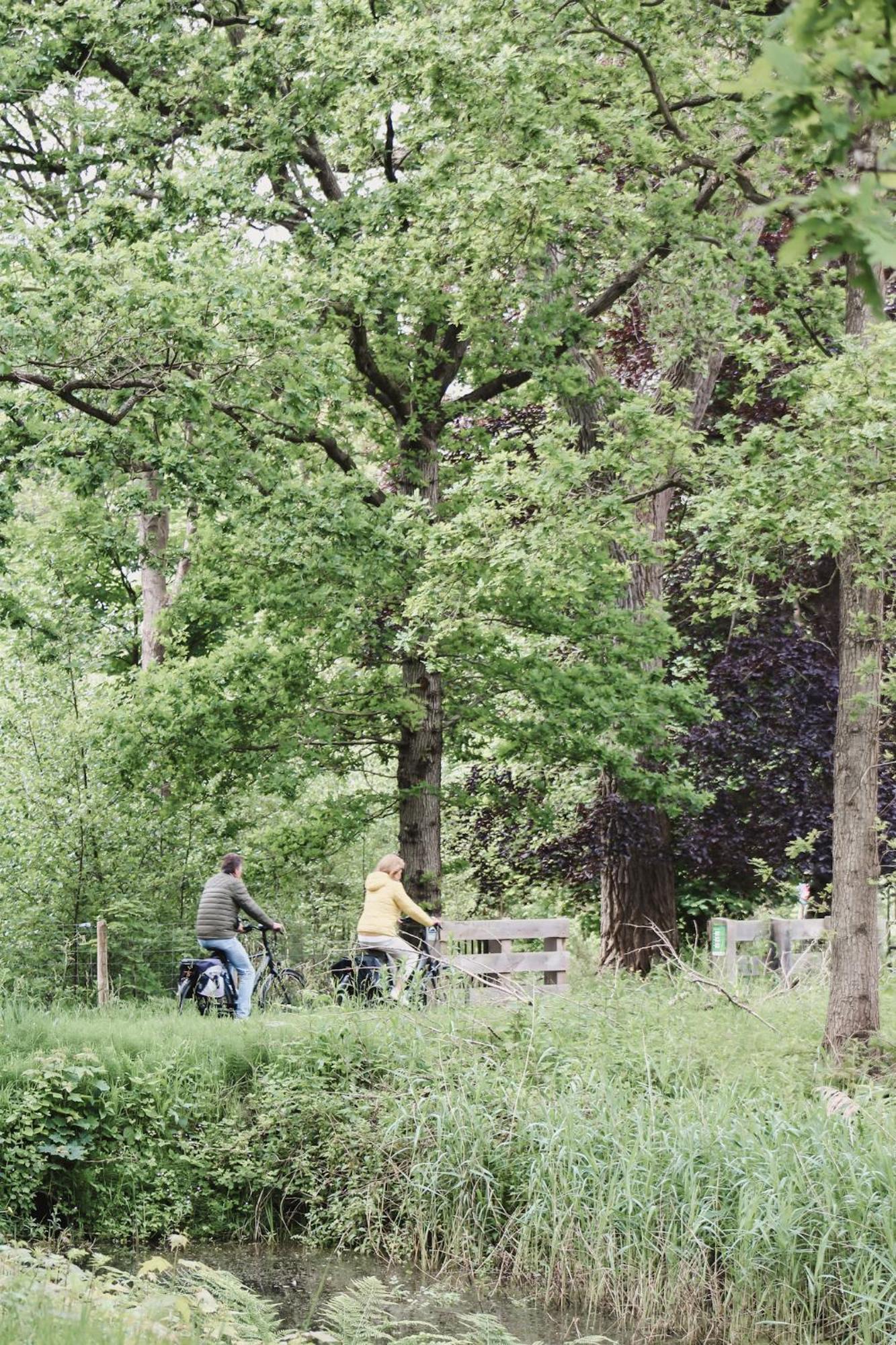 Zoomers Aan Het Bos Castricum Eksteriør billede