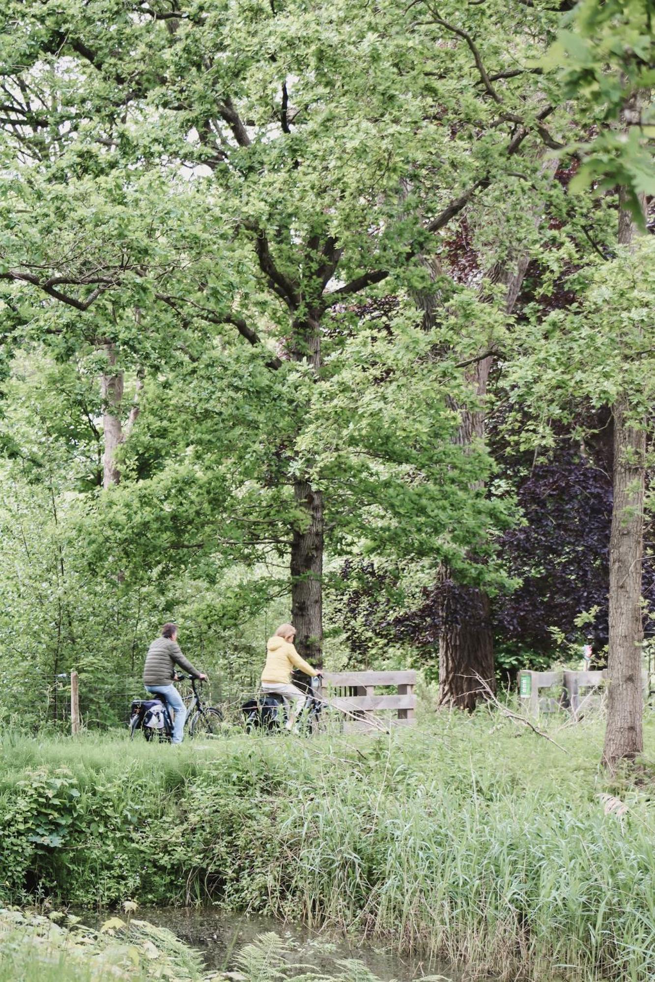 Zoomers Aan Het Bos Hotel Castricum Eksteriør billede