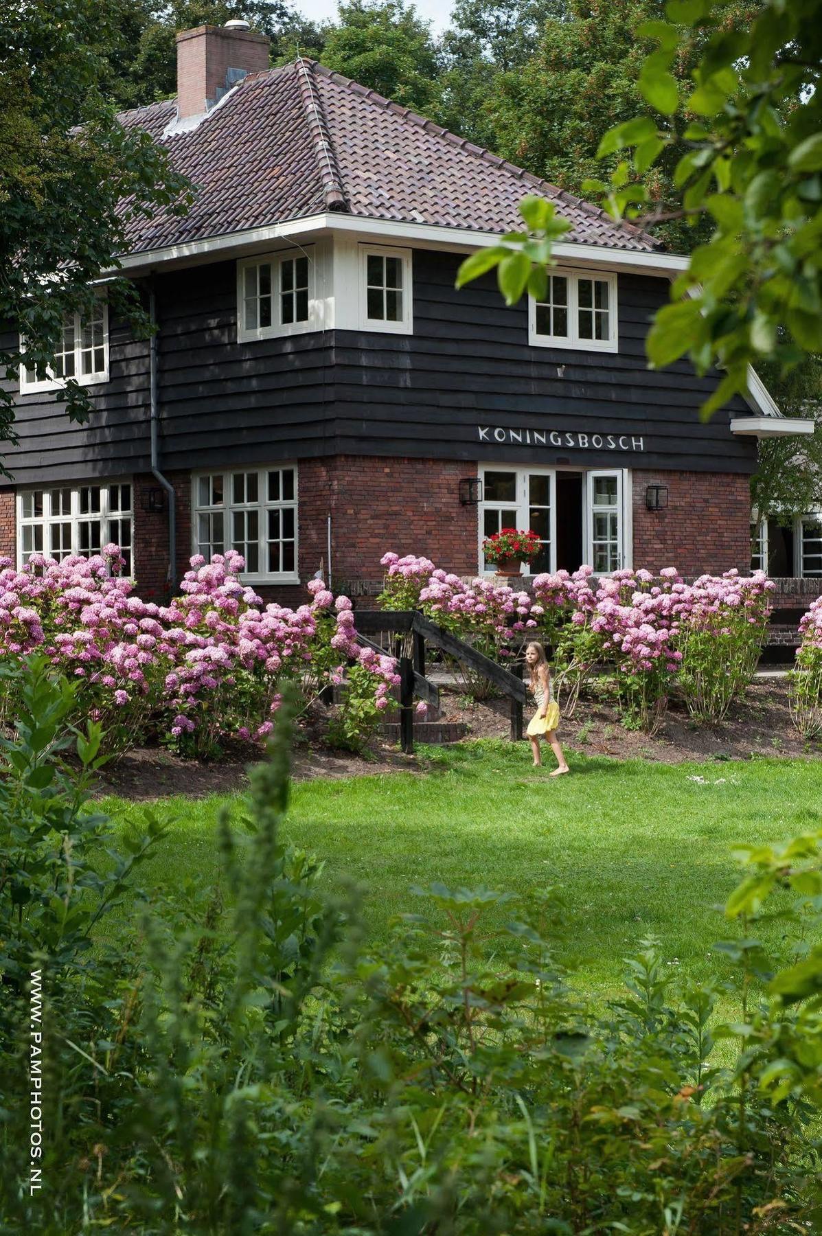 Zoomers Aan Het Bos Hotel Castricum Eksteriør billede